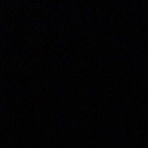 Meet your Posher, Micah